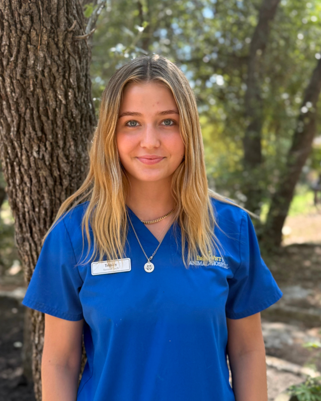 Trinity , Veterinary Technician Assistant Trinity , Veterinary Technician Assistant