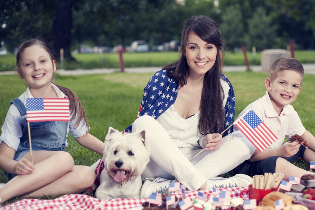 Things That Go BOOM: 4th Of July Pet Safety | BeeVet Animal Hospital