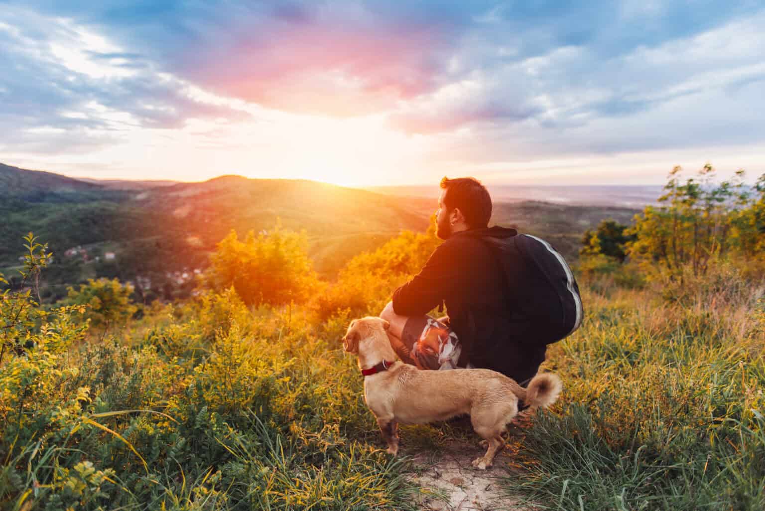 The Jet-Setting Pet: Air Travel With a Pet  