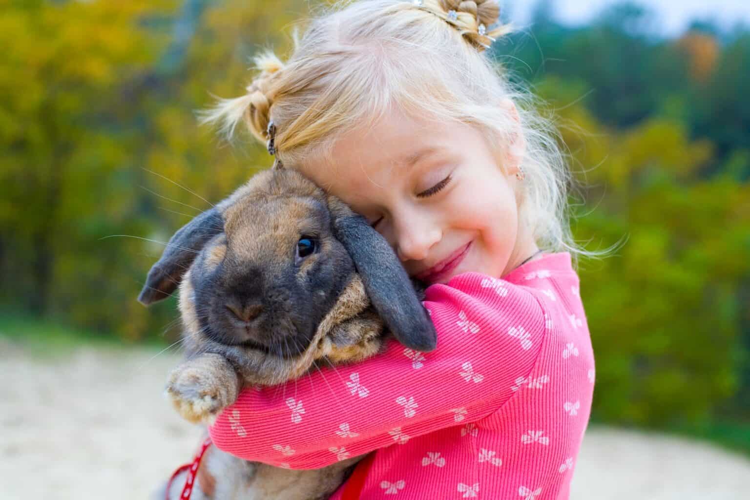 Is A Rabbit the Perfect Pet For Your Family?