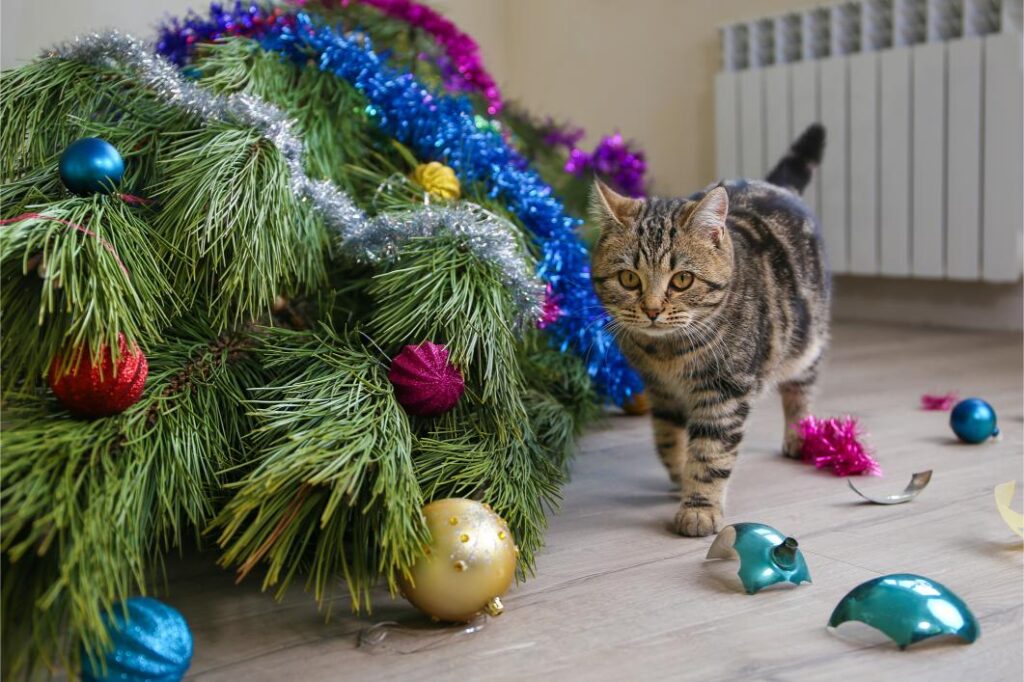 cat waling pass fallen christmas tree and broken broken ornaments.