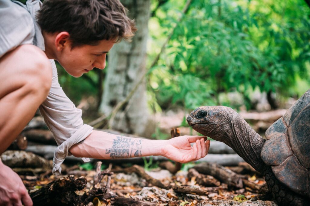 petting a tortoise.