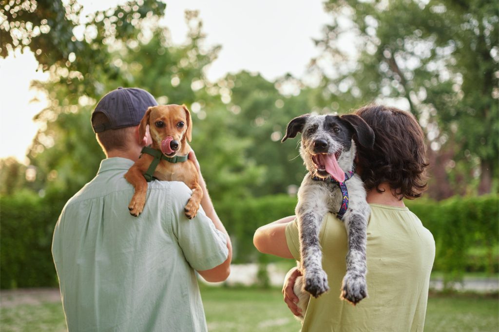 Dog-Friendly Outdoor Activities in Austin