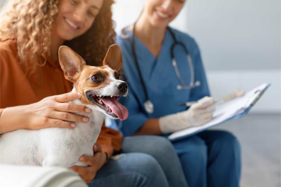 Evidence-Based Approaches to Pet Wellness: A Vet’s Guide