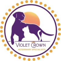 Violet Crown Veterinary Specialists