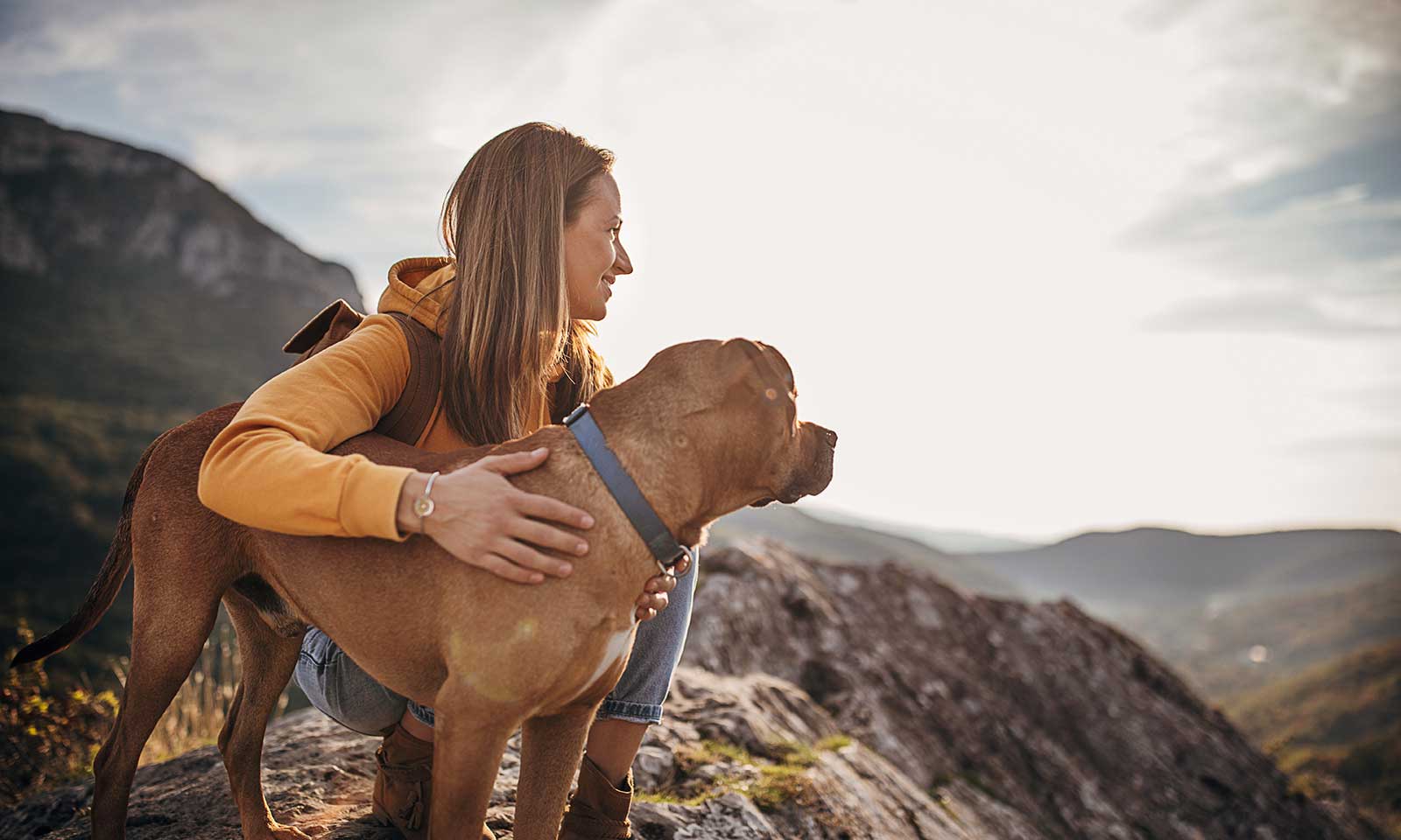 A dog and person on a trip