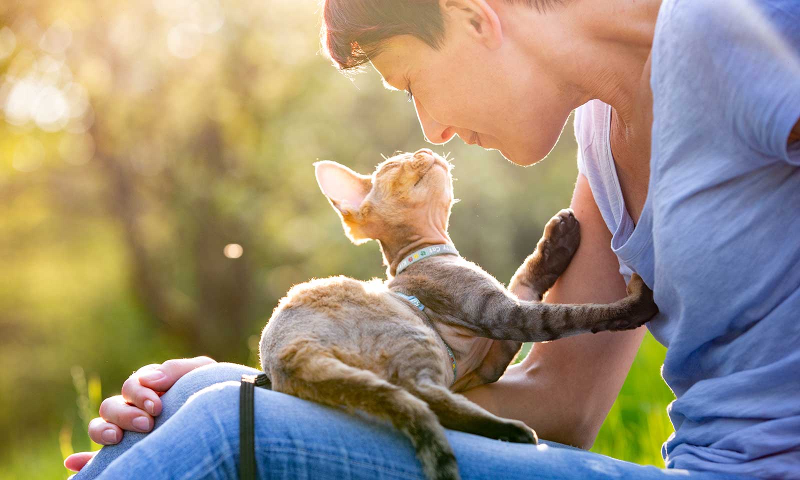 A cat playing with their human