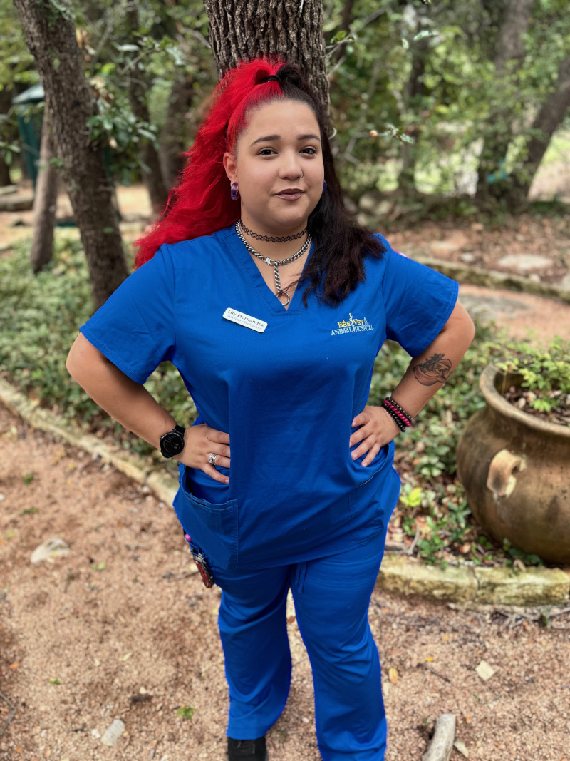 Lily Hernandez, Veterinary Technician